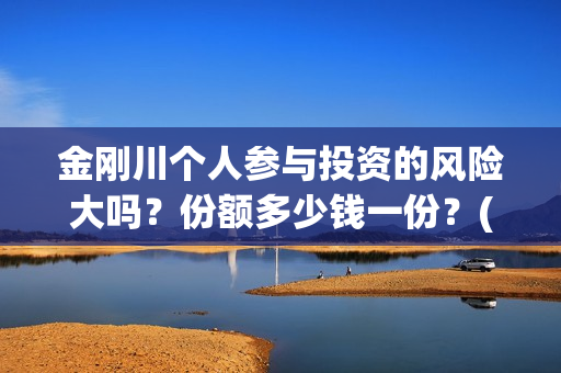 金刚川个人参与投资的风险大吗？份额多少钱一份？(金刚川专访)
