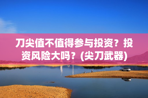 刀尖值不值得参与投资？投资风险大吗？(尖刀武器)