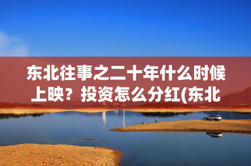 东北往事之二十年什么时候上映？投资怎么分红(东北往事之二十年上映了吗)