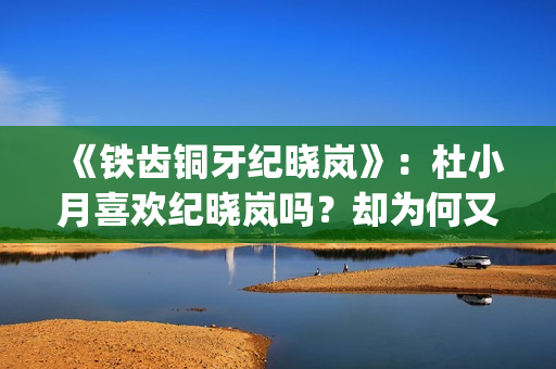 《铁齿铜牙纪晓岚》：杜小月喜欢纪晓岚吗？却为何又两次嫁人？(《铁齿铜牙纪晓岚》片头曲)