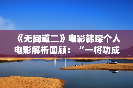 《无间道二》电影韩琛个人电影解析回顾：“一将功成万骨枯”(《无间道二》电影演员表)