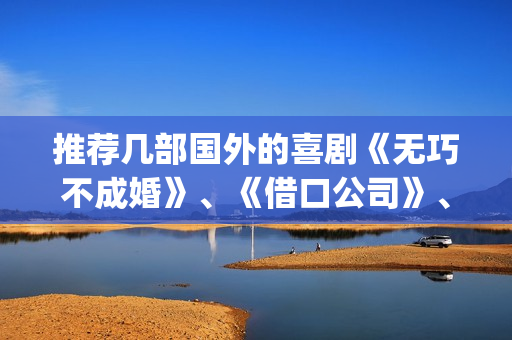 推荐几部国外的喜剧《无巧不成婚》、《借口公司》、《憨豆特工3》(国外值得推荐的电影)