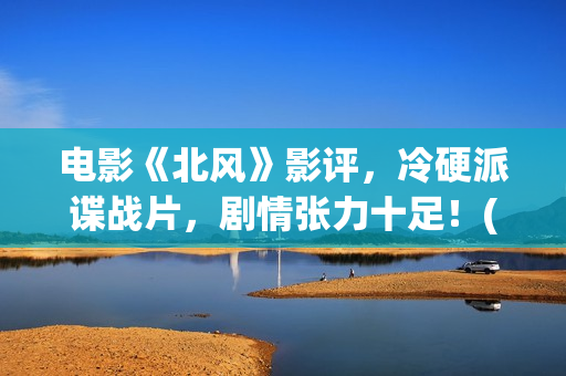电影《北风》影评，冷硬派谍战片，剧情张力十足！(北风韩国电影北风)