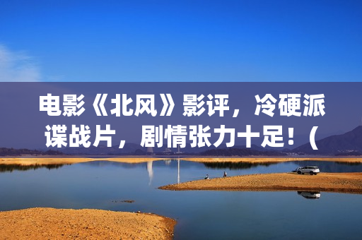 电影《北风》影评，冷硬派谍战片，剧情张力十足！(北风 电影)