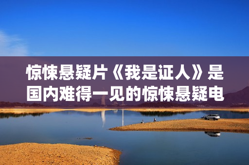 惊悚悬疑片《我是证人》是国内难得一见的惊悚悬疑电影(我要悬疑片)