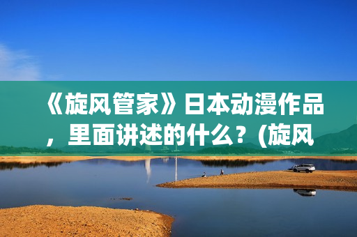 《旋风管家》日本动漫作品，里面讲述的什么？(旋风管家完整版)