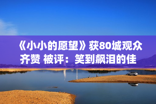 《小小的愿望》获80城观众齐赞 被评：笑到飙泪的佳作(小小的愿望歌曲)