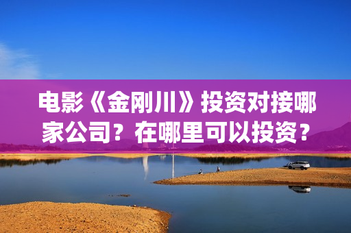 电影《金刚川》投资对接哪家公司？在哪里可以投资？制作成本多少？(电影金刚川观后感)