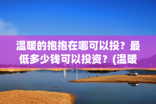 温暖的抱抱在哪可以投？最低多少钱可以投资？(温暖的抱抱是什么剧情)
