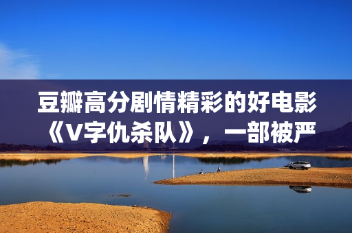 豆瓣高分剧情精彩的好电影《V字仇杀队》，一部被严重低估的大作(豆瓣高分top)