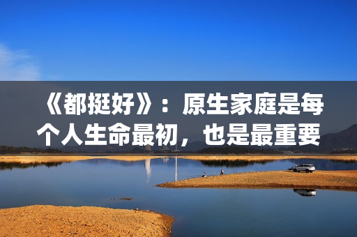 《都挺好》：原生家庭是每个人生命最初，也是最重要的关系。(都挺好原著苏明成在监狱经历了什么)