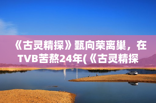 《古灵精探》甄向荣离巢，在TVB苦熬24年(《古灵精探》甄子丹结局)