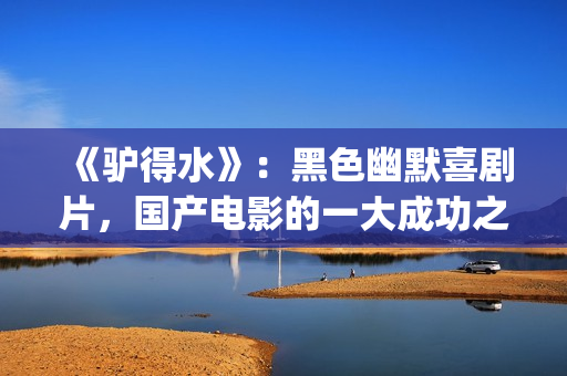 《驴得水》：黑色幽默喜剧片，国产电影的一大成功之作！(驴得水到底讲的是什么)