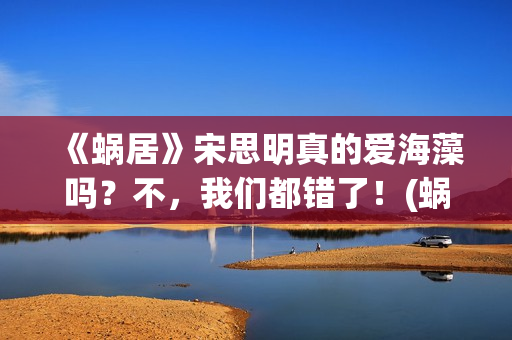 《蜗居》宋思明真的爱海藻吗？不，我们都错了！(蜗居宋思明是什么身份)