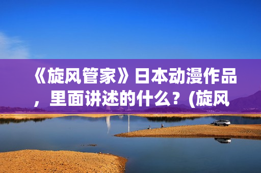 《旋风管家》日本动漫作品，里面讲述的什么？(旋风管家第一季ova)