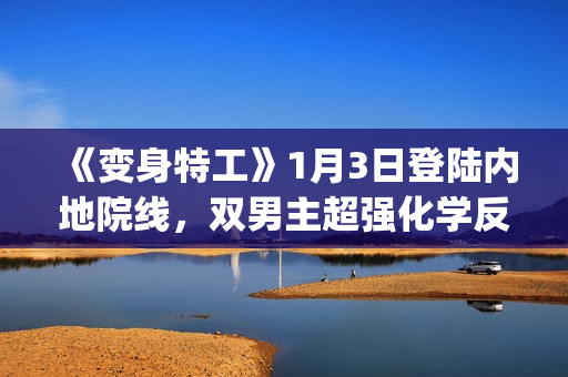 《变身特工》1月3日登陆内地院线，双男主超强化学反应(《变身特工》)