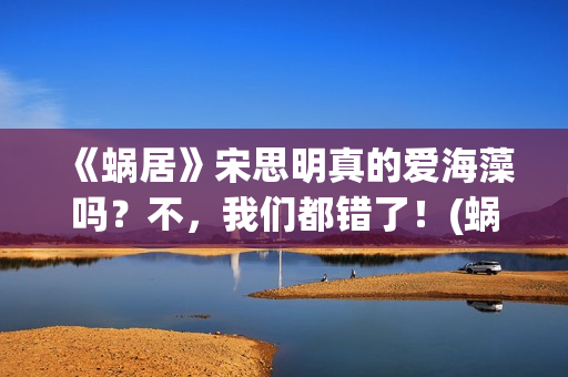 《蜗居》宋思明真的爱海藻吗？不，我们都错了！(蜗居宋思明海藻第一次在一起第几集)