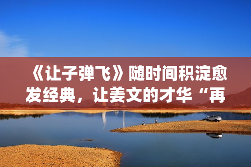 《让子弹飞》随时间积淀愈发经典，让姜文的才华“再飞一会儿”(让子弹飞1)