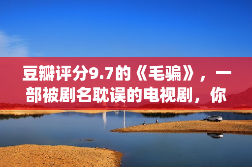 豆瓣评分9.7的《毛骗》，一部被剧名耽误的电视剧，你看过没？(豆瓣评分9.5)