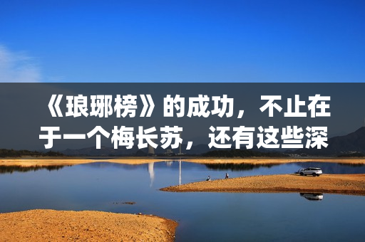 《琅琊榜》的成功，不止在于一个梅长苏，还有这些深入人心的角色(《琅琊榜》的成毅是谁)