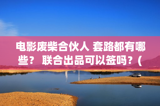 电影废柴合伙人 套路都有哪些？ 联合出品可以签吗？(电影废柴合伙人演员表)