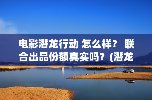 电影潜龙行动 怎么样？ 联合出品份额真实吗？(潜龙行动免费)