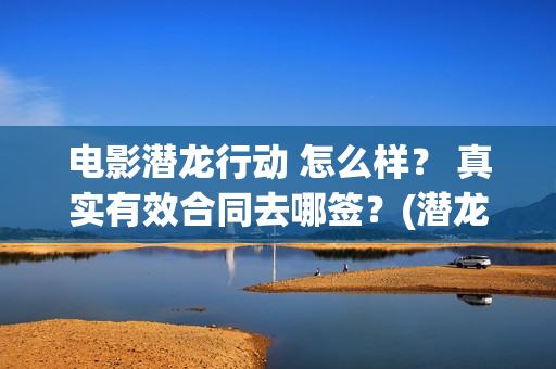 电影潜龙行动 怎么样？ 真实有效合同去哪签？(潜龙行动电影大结局)