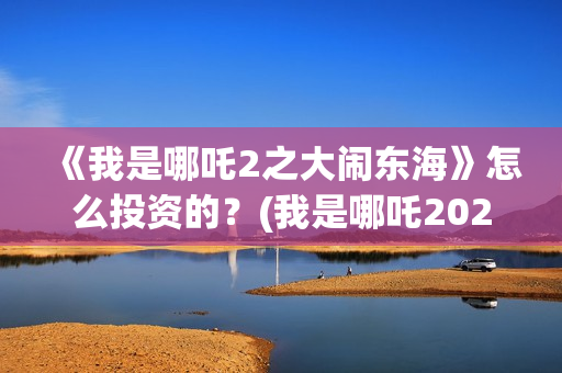 《我是哪吒2之大闹东海》怎么投资的？(我是哪吒2021)