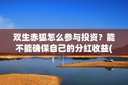双生赤狐怎么参与投资？能不能确保自己的分红收益(双生赤狐结局什么意思)