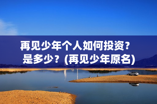 再见少年个人如何投资？ 是多少？(再见少年原名)