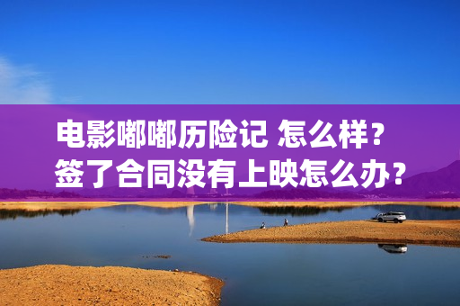 电影嘟嘟历险记 怎么样？ 签了合同没有上映怎么办？(电影嘟嘟历险记在线观看)