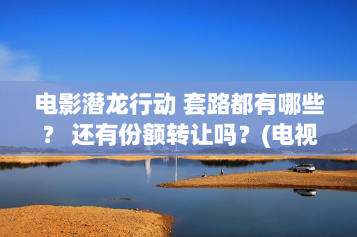 电影潜龙行动 套路都有哪些？ 还有份额转让吗？(电视剧潜龙行动高清)