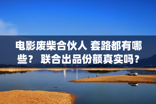电影废柴合伙人 套路都有哪些？ 联合出品份额真实吗？(废柴兄弟 百度百科)