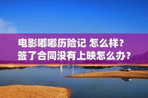 电影嘟嘟历险记 怎么样？ 签了合同没有上映怎么办？(嘟嘟生活历险记)