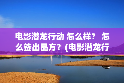 电影潜龙行动 怎么样？ 怎么签出品方？(电影潜龙行动)