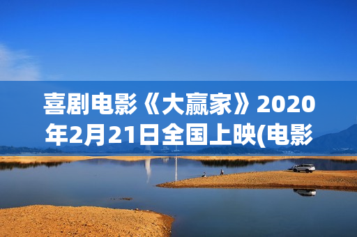 喜剧电影《大赢家》2020年2月21日全国上映(电影大赢家在线播放)