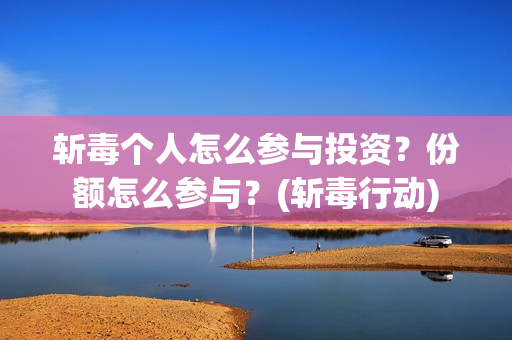 斩毒个人怎么参与投资？份额怎么参与？(斩毒行动)