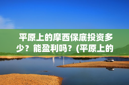 平原上的摩西保底投资多少？能盈利吗？(平原上的摩西主要讲了什么)