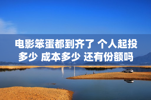 电影笨蛋都到齐了 个人起投多少 成本多少 还有份额吗(笨蛋都到齐了主题曲)