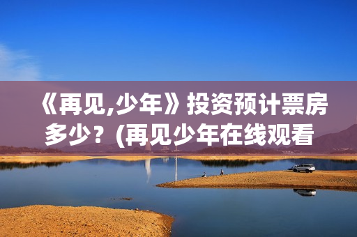 《再见,少年》投资预计票房多少？(再见少年在线观看免费完整版)