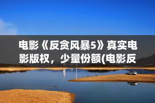 电影《反贪风暴5》真实电影版权，少量份额(电影反贪风暴3(普通话)在线观看)