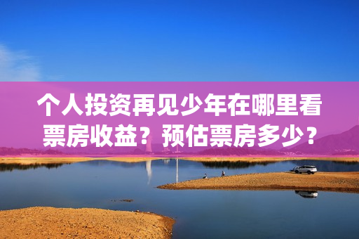 个人投资再见少年在哪里看票房收益？预估票房多少？回(你认为个人投资需要什么条件?)