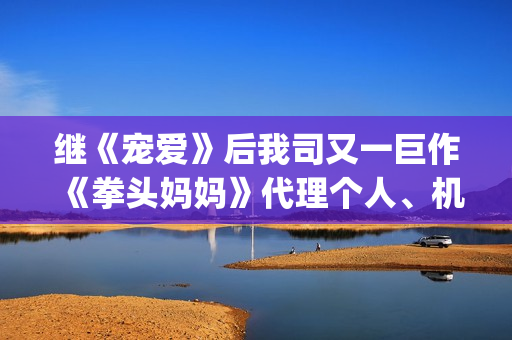 继《宠爱》后我司又一巨作《拳头妈妈》代理个人、机构等资方对接合作(《过后宠爱》)