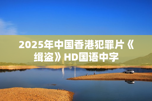 2025年中国香港犯罪片《缉盗》HD国语中字