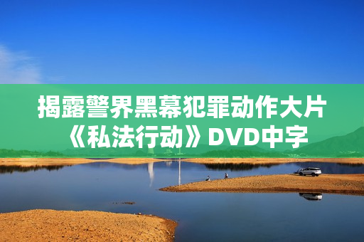 揭露警界黑幕犯罪动作大片《私法行动》DVD中字