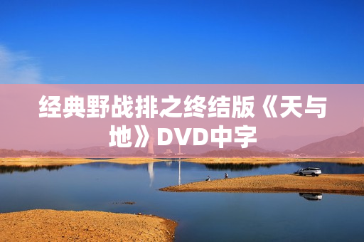 经典野战排之终结版《天与地》DVD中字