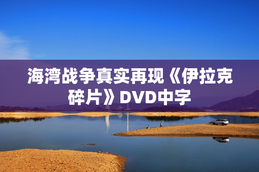 海湾战争真实再现《伊拉克碎片》DVD中字