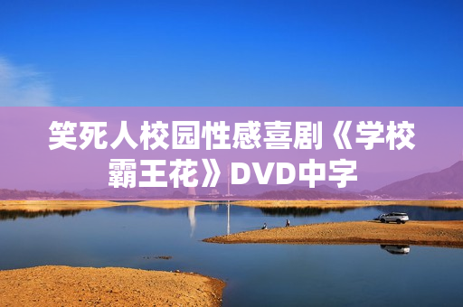 笑死人校园性感喜剧《学校霸王花》DVD中字