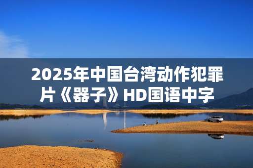 2025年中国台湾动作犯罪片《器子》HD国语中字