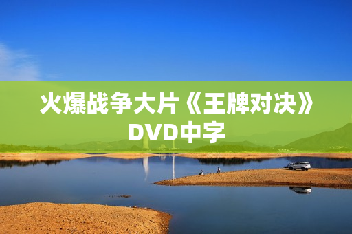 火爆战争大片《王牌对决》DVD中字